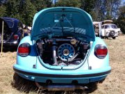 Beetle Show Rioz (17)